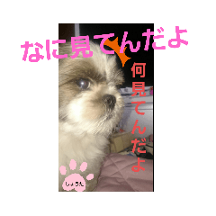 mizuki_20200616111531