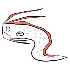 Oarfish and his friends