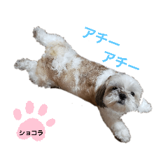 mizuki_20200616141709