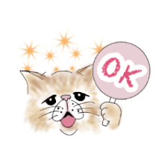 cat Emotions and greetings you often use