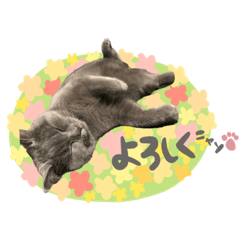 ayumi_20200616165707