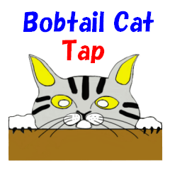 ボブテイル日本猫タップ
