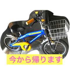 akiko_20200616212756