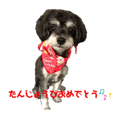 chaorin_20200616214838