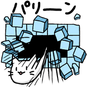 KIYO-NYAN of cat 2