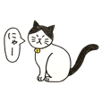 白黒ハチワレ猫のむぅたん　その３