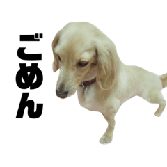 omochi_20200617001623