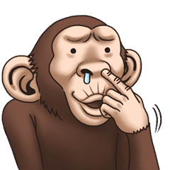 The Funny  Monkey  Chinese LINE  stickers LINE  STORE