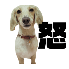 omochi_20200616221338