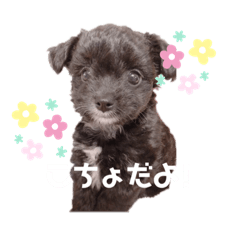 aoi_20200616224644