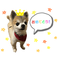 KAITO_20200617101144