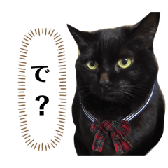 HARUNA_20200617122057