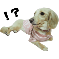 omochi_20200616195148