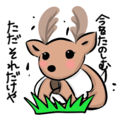 Funny deer in Nara 2