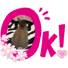 kurumi_20200617131014