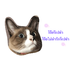 Arisa_20200616220046