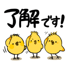 Round chick daily stickers