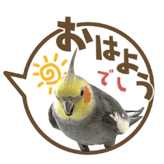 鳥 Lineクリエイターズスタンプまとめ Stamplist Part 2