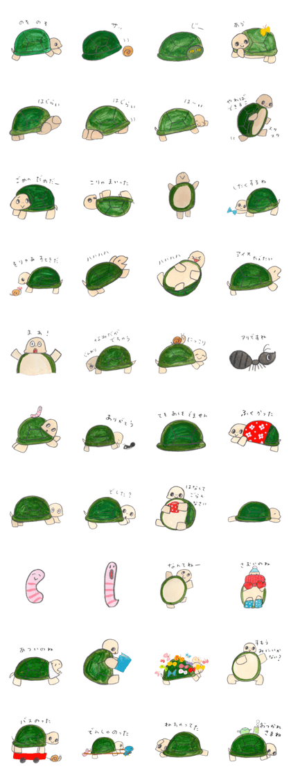 TurtleTurtle
