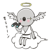 MR.ANGEL KOALA 2