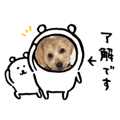 po-po chan614816
