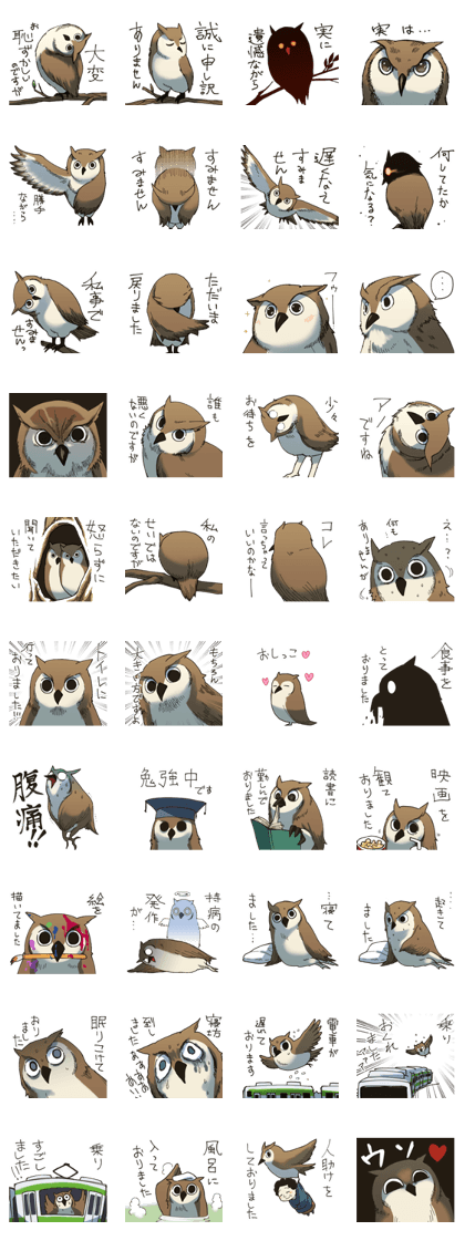Excuse owl