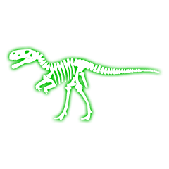 Various dinosaurs 01