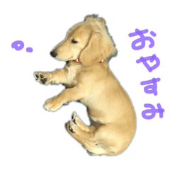 charlie_20200617174910