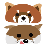 Girls have animal hat