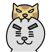 Seal san and cat kun
