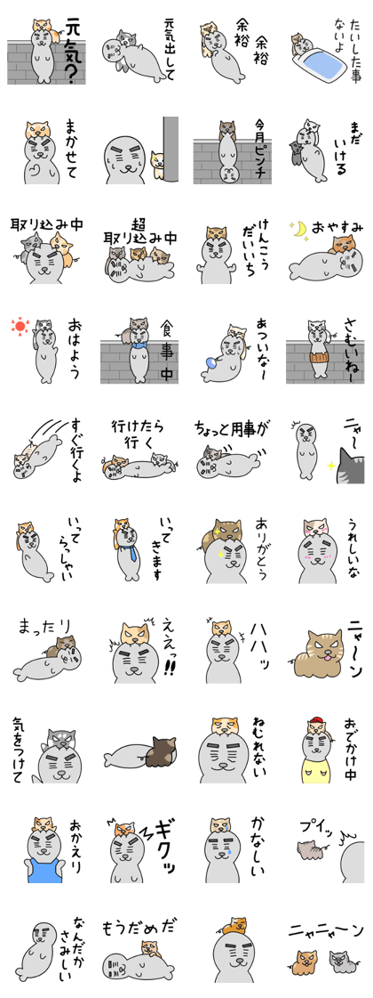 Seal san and cat kun