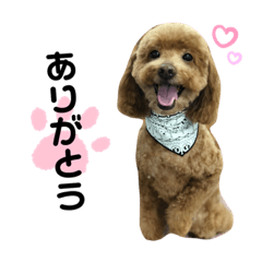 arisa_20200617205551