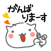 Cute Cat. Message & Face