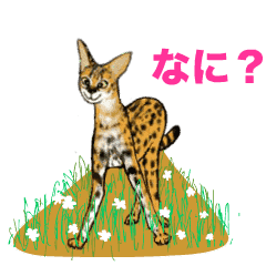 サーバルキャト Love 2 Lineクリエイターズスタンプ Stamplist