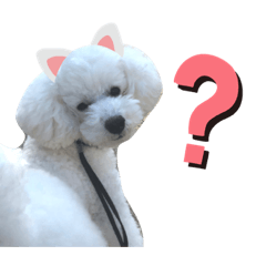 arisa_20200617231700