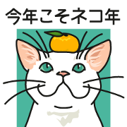 Next year will be a cat year.