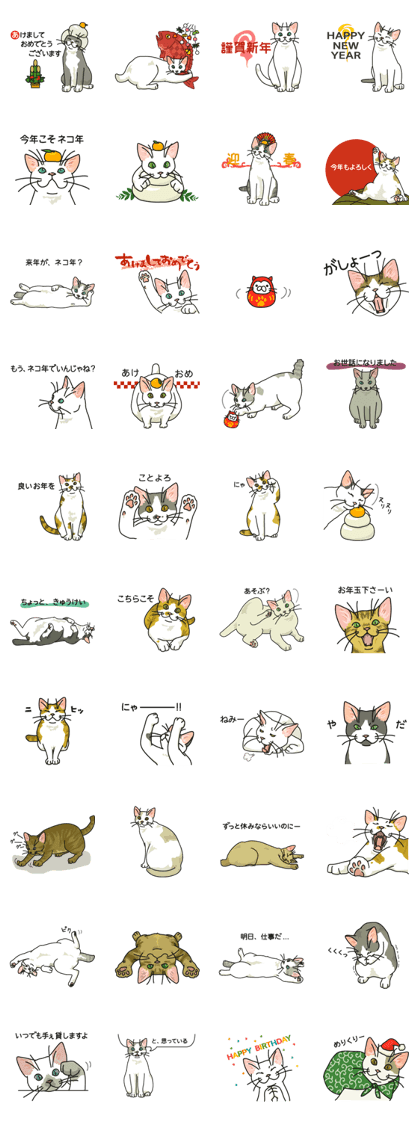 Next year will be a cat year.