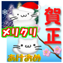 Christmas,the Happy New Year White cat