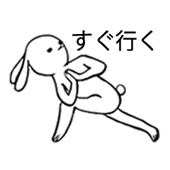 yoga rabbit