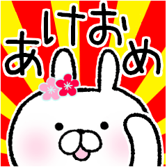 Frequently used words rabbit 8.New Year