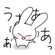 bashful rabbit