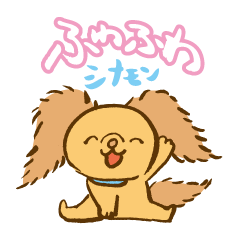 Cinnamon fluffy dog