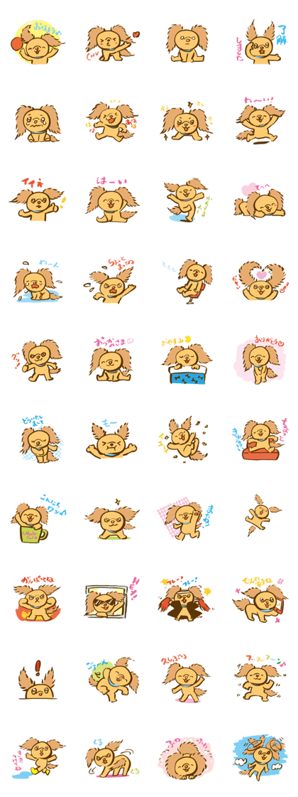 Cinnamon fluffy dog