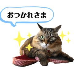 natsumi_20200617183740