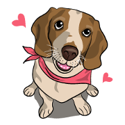 Kao Tang The Dog (Eng)