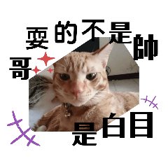 畫蛇添足-玉米與木瓜