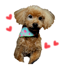 kanae_20200617181054