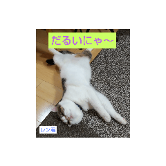 nonta_20200617181356