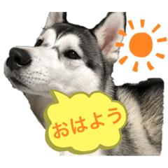 nanami_20200617230822