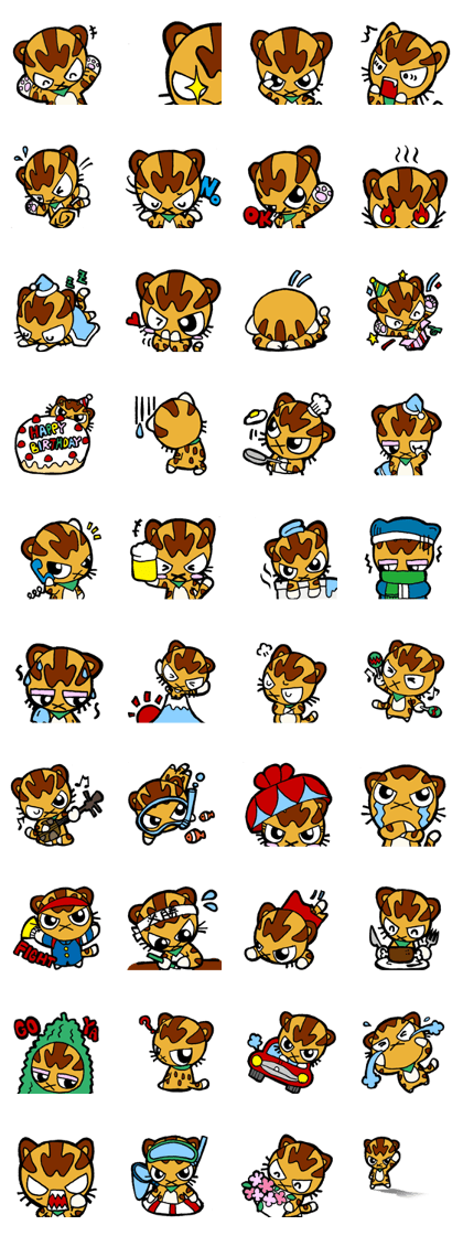YAMACHAN  Iriomote Wild Cat